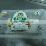 Customize HS-300 Manual Tufu Package Tray Sealing Machine thumbnail-3