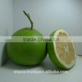 Pomelo thumbnail-1