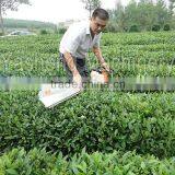 Hedge Trimmer thumbnail-5