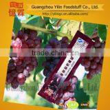 OEM Factory 18g Sachet Grape Jam Made in China