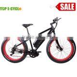 26 inch Aluminium Alloy Unique Design CE Certificate Brushelss Motor Electric Fat Tire Ebike