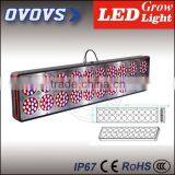 OVOVS High Quality Led Chip 3w Led Grow Light Bulbs for Greenhouse