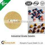 Wholesale Price 200 Bloom Cow Skin Industrial Paintball Gelatin thumbnail-2