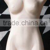 Plastic Female Half Body Model