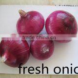 Fresh Red Onion From China thumbnail-3