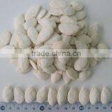 Popular Products Chinese Pumpkin Seeds