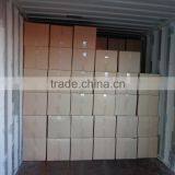 Champignon Noir thumbnail-6