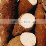 High Quality Cassava Starch