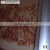 Microwave Angelica/ Herbs Drying and Sterilization Machine thumbnail-1