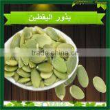 Pumpkin Kernels High Quality Pumpkin Seeds Without Shell, Pumpkin Kernels GRADE AA thumbnail-5