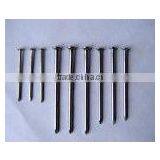 Common Nails thumbnail-1