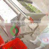 High Quality and Low Price Green Pea Peeling Machine thumbnail-1