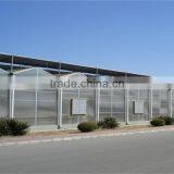 Large Greenhouse With Sunlight Board Covering thumbnail-2