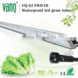 IP65 4 Foot 30W Led Grow Light Bar for Hoya Plant thumbnail-1