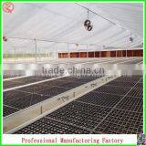 Plastic Film Commercial Greenhouses for Sale With Arched Type thumbnail-2