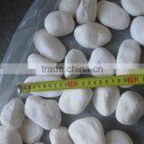 Snow White Pebble Stone for Garden thumbnail-3