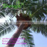SJLJ01261 Indoor Outdoor Artificial Coconut Palm Tree With Light thumbnail-3