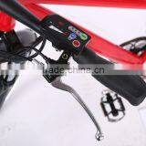 250W Cheap 26 Inch Electric Mountain Bike for Sale thumbnail-4