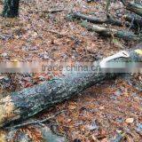 13inch Blade Popular Curved D-shape Handle Wooden Pruning Raker Tooth Saw thumbnail-4