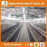 Heracles Trade Assurance Layer Chicken Cage-- 3 Layers Chicken Poultry Farm Equipment thumbnail-2