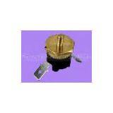 Copper Thermostat, Bakelite and Ceramic Available thumbnail-1