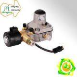 CNG LPG Pressure Regulator thumbnail-1