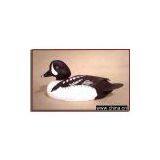 Decoys--Barrow's Goldeneye thumbnail-1