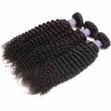 Chemical free 12 Inch Cambodian Multi Colored Indian Curly Human Hair For Black Women