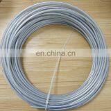 Germany Tube PAN-6x1-SI152699 thumbnail-1