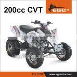 11.5 KW Auto Quad 200cc CVT Transmission Motorcycle