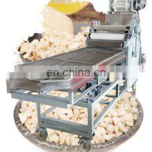 Автоматическая машина для измельчения кокосовых орехов, бобов, арахиса, резки миндаля, измельчения трав, дробления кешью. Промышленный измельчитель орехов в продаже.