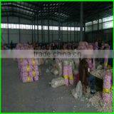 Qingdao New Yang Shan Trading Co., Ltd. company overview - view 2 thumbnail