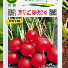 High Sprouting 5g Red Radish Seeds Supplier Chinese Vegetable f1 Hybrid Radish Seed for Planting thumbnail-2
