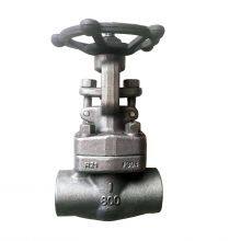 Versatile ANSI Forged Globe Valve Compatible With Various Fluids in Water Treatment Applications