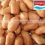 Raw Peanut Kernels