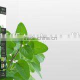 Wild Oregano Tea thumbnail-2