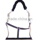 Horse Halter thumbnail-1