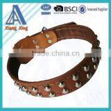 Comfortable Padded Dog Collar Adjustable Pet Collar Nylon or Leather Collar & Lead thumbnail-3