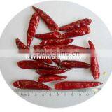 Dry Red New Generation Chili thumbnail-2