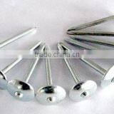 Roofing Nails thumbnail-1