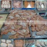 Wholesale frozen halal chicken parts