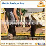 Bee Hive Price / Honey Flow Hive / Beehive Box