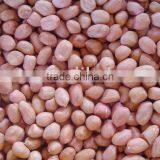 Peanut Without Shells