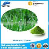 Wheatgrass Seeds Wheatgrass Powder thumbnail-1