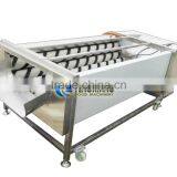 Commercial Potato Ginger Washer and Peeler Turnip Ginger Melon Fruit Ginger Washing and Peeling Machine thumbnail-3
