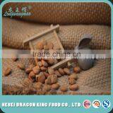 Organic Sweet Apricot Kernels For Different Kind Of Specifications 600/700/750/900 pcs/500g.