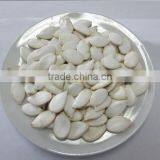 Heilongjiang Good Price Snow White Pumpkin Seed for Middle East thumbnail-1
