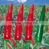 Upright Single Hot Pepper/Chilli Seed For Sale Yan Hong 100 thumbnail-1