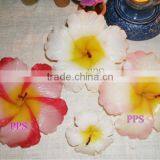 Aroma Flower Candle thumbnail-3