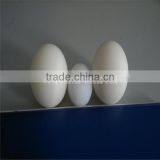 Plastic Ball thumbnail-1